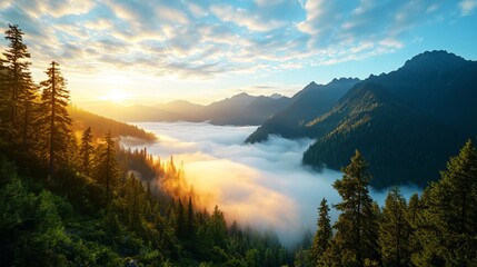 Breathtaking sunrise over misty mountains surrounded by tall evergreen trees.