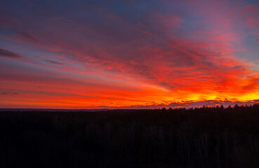 Amazing sunset over the forest in Poland