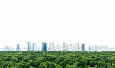 Fototapeta premium Urban Skyline Above Lush Green Forest Landscape with Clear Sky