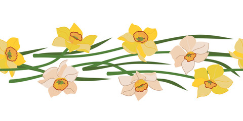 Seamless border of daffodils isolated on white background. Yellow and white spring flowers, Mother's Day gift. Colorful flat style vector illustration for wedding decoration.