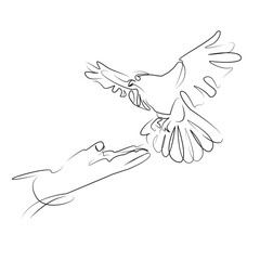 One continuous line art drawing flat illustration person, bird, one person, adults only, man, pigeon, adult, animal. Isolated image hand draw outline on white background