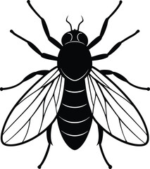 fly vector illustration