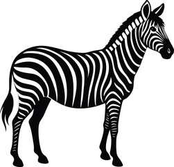 zebra vector illustration