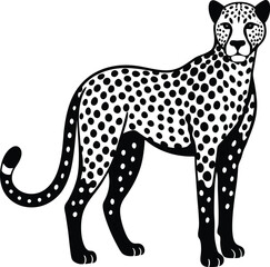 cheetah vector illustration