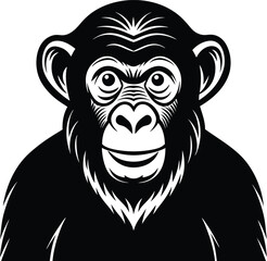 shimpanzee vector illustration