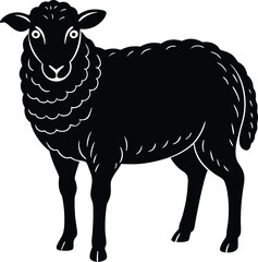 sheep vector illustration