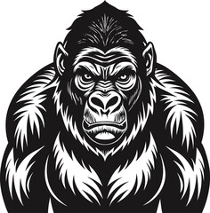 gorila vector illustration 