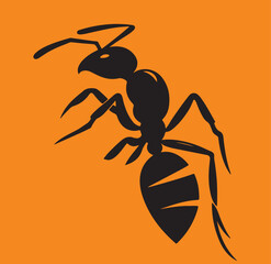 ant vector illustration