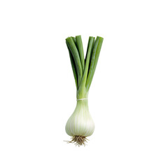 Fresh green scallion isolated on light background food photography minimalist style close-up culinary concept