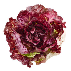 Vibrant red iceberg lettuce close-up isolated on white background food photography studio setting minimalist view freshness concept