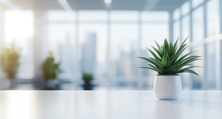 A white, modern office interior with plants in the foreground, blurred desks and chairs behind it.