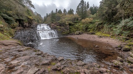 Serene Waterfall Cascading into a Rocky Pool in a Lush Forest