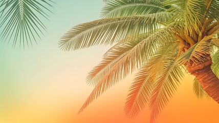 Fototapeta premium Summer concept tropical summer background palm trees branches on mint orange yellow background copy space