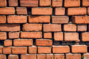 Obraz premium red brick wall