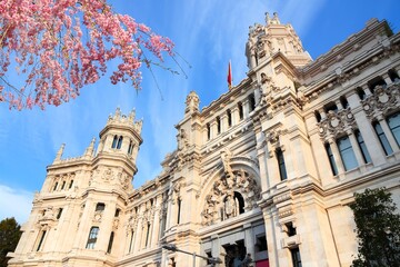Fototapeta premium Madrid, Spain - Cibeles Palace. Spring time cherry blossoms.