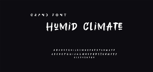 Lettering font isolated on black background. Texture alphabet in street art and graffiti style. Grunge and dirty effect.  Vector brush letters.