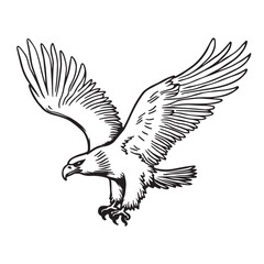 Eagle Bird Vector Art