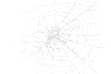 White spider web, cut out