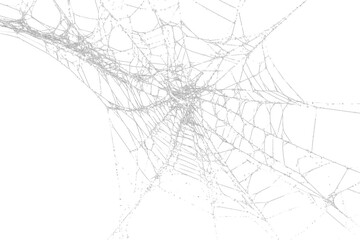 White spider web, cut out