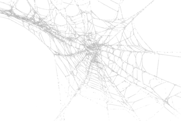 White spider web, cut out