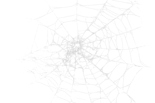 White spider web, cut out