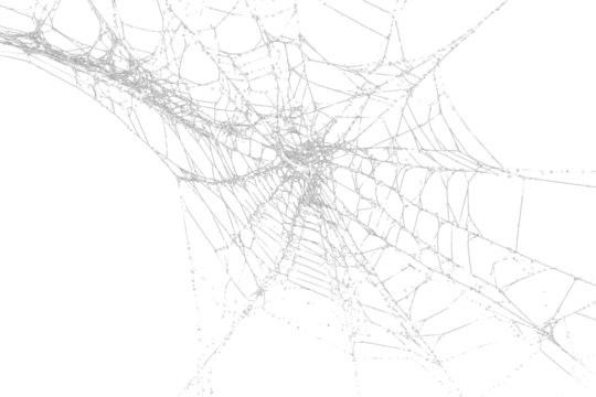 White spider web, cut out