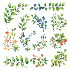 Watercolor floral elements on white background, spring botanical design.