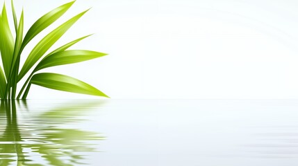 Bright Green Leaves Reflecting in Calm Water