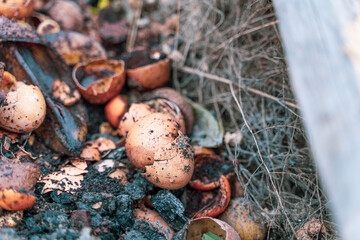 Compost heap in a suburban area with food waste and other organic matter. Making organic fertilizer with your own hands