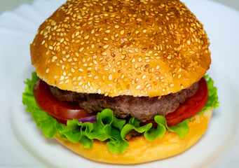 Delicious burger with fresh ingredients on a white plate