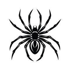 Realistic arachnid design with intricate details silhouette isolated on white background