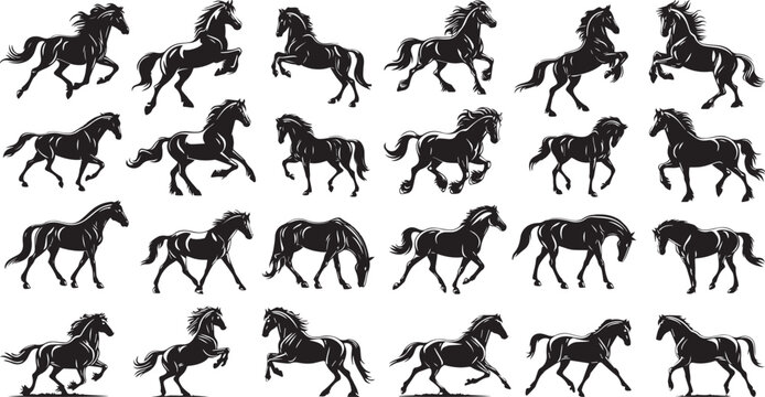 Big set of horse silhouettes, vector illustration, horse silhouettes, silhouette of a running horse, collection, horse silhouette set vector illustration, Collection of Horse silhouette