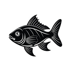 Fototapeta premium Detailed aquatic fish with fins and scales silhouette isolated on white background