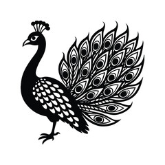 Naklejka premium Elegant peacock silhouette isolated on white background