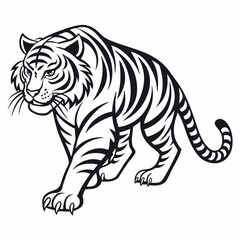 Fototapeta premium Vector illustration of a crouching tiger in dynamic pose, isolated on a white background.