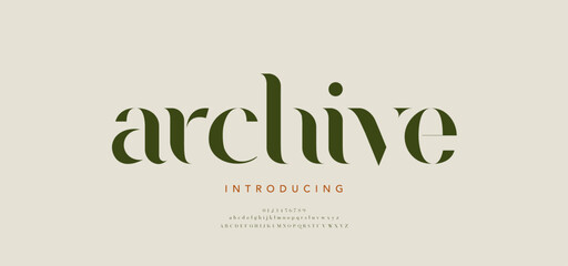 Elegant alphabet logo font and number. Classic Modern Serif Lettering Minimal Fashion. Typography decoration fonts for branding, wedding, logos. vector illustration