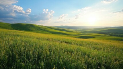 Obraz premium Green field under sunny sky. Rolling hills of grass. Countryside with sun shining. Scenic landscape. Natural green environment.