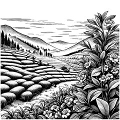 Fototapeta premium tea plantation mountain landscape with terraced fields, lush plants, pine trees, and dramatic cloud formations sketch engraving generative ai PNG illustration. Scratch board. Black and white.