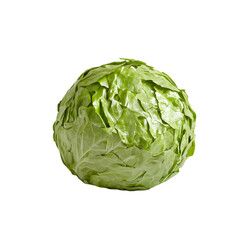 Fototapeta premium Fresh green lettuce isolated background food photography minimalist style close-up culinary concept