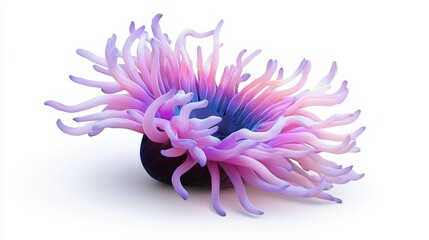 Obraz premium A vibrant marine anemone with flowing tentacles, showcasing a stunning blend of pink and purple hues against a white background.