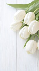 White Tulips Elegance
