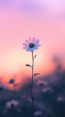 One single beautiful flower stands against a vibrant colorful sky