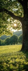 Swaying branches catch sunlight in a tranquil grassy meadow
