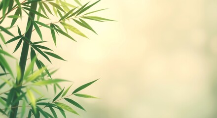 Fototapeta premium Green bamboo stems and leaves on light colored background.