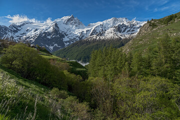 Fototapeta premium Le printemps au pays de la Meije , vue depuis le hameau des Terrasses à la Grave , Oisans Hautes Alpes