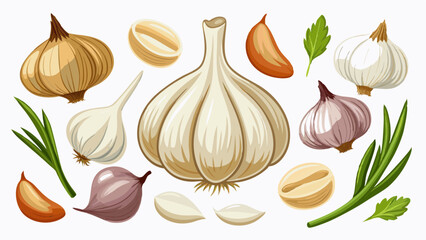 Fototapeta premium Fresh Garlic Bulbs and Cloves – Set of Garlic Isolated on White Background.