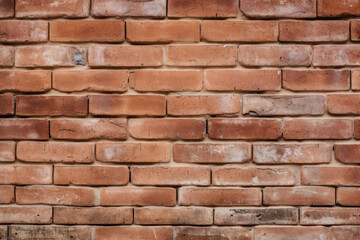 Fototapeta premium Red brick wall texture