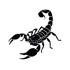 scorpion vector illustration