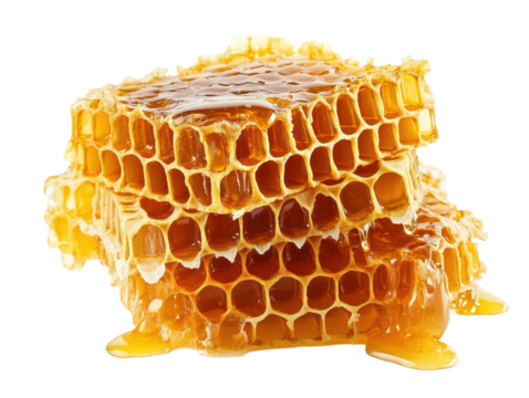 Isolated Stacked Honeycomb Pieces with Dripping Honey