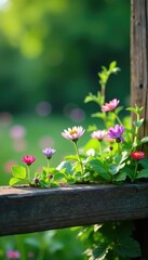 Delicate wildflowers blooming along a wooden beam, playful, whimsical, colorful